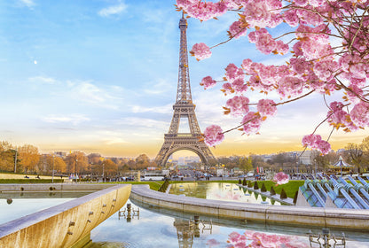 Eiffel Tower & Cherry Blossom Tree Photograph Print 100% Australian Made