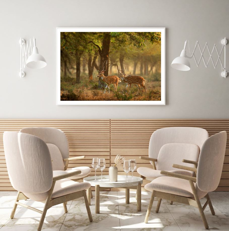 Deers in Forest Photograph Home Decor Premium Quality Poster Print Choose Your Sizes