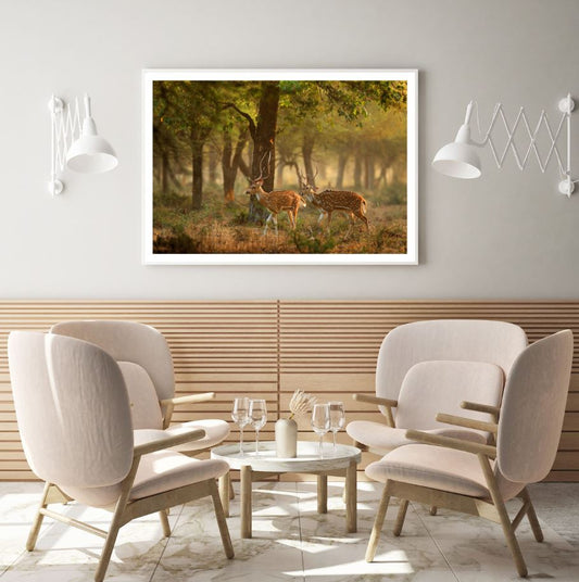 Deers in Forest Photograph Home Decor Premium Quality Poster Print Choose Your Sizes