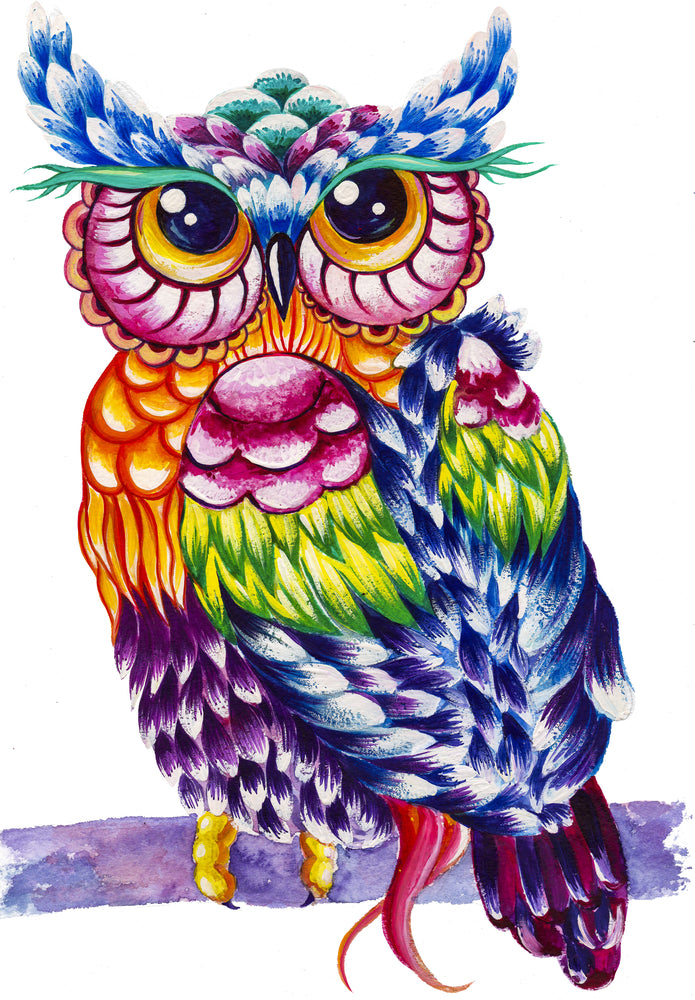 Colourful Owl Painting Print 100% Australian Made