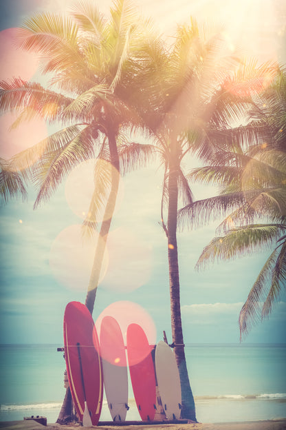 Surf Boards, Palm Trees & Sea Photograph Home Decor Premium Quality Poster Print Choose Your Sizes