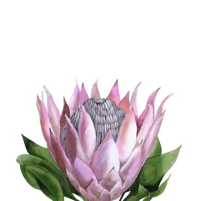 Square Canvas Colorful Flower Watercolor Painting High Quality Print 100% Australian Made