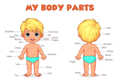 Children Body Parts Print 100% Australian Made