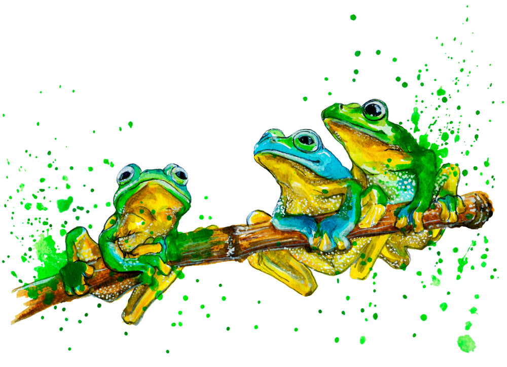 Three Frogs Painting Print 100% Australian Made