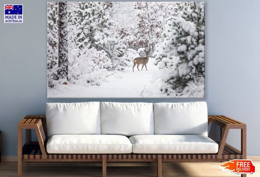 Deer in Forest Photograph Print 100% Australian Made