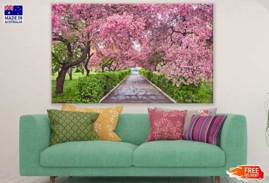 Blossom Trees Park Photograph Print 100% Australian Made