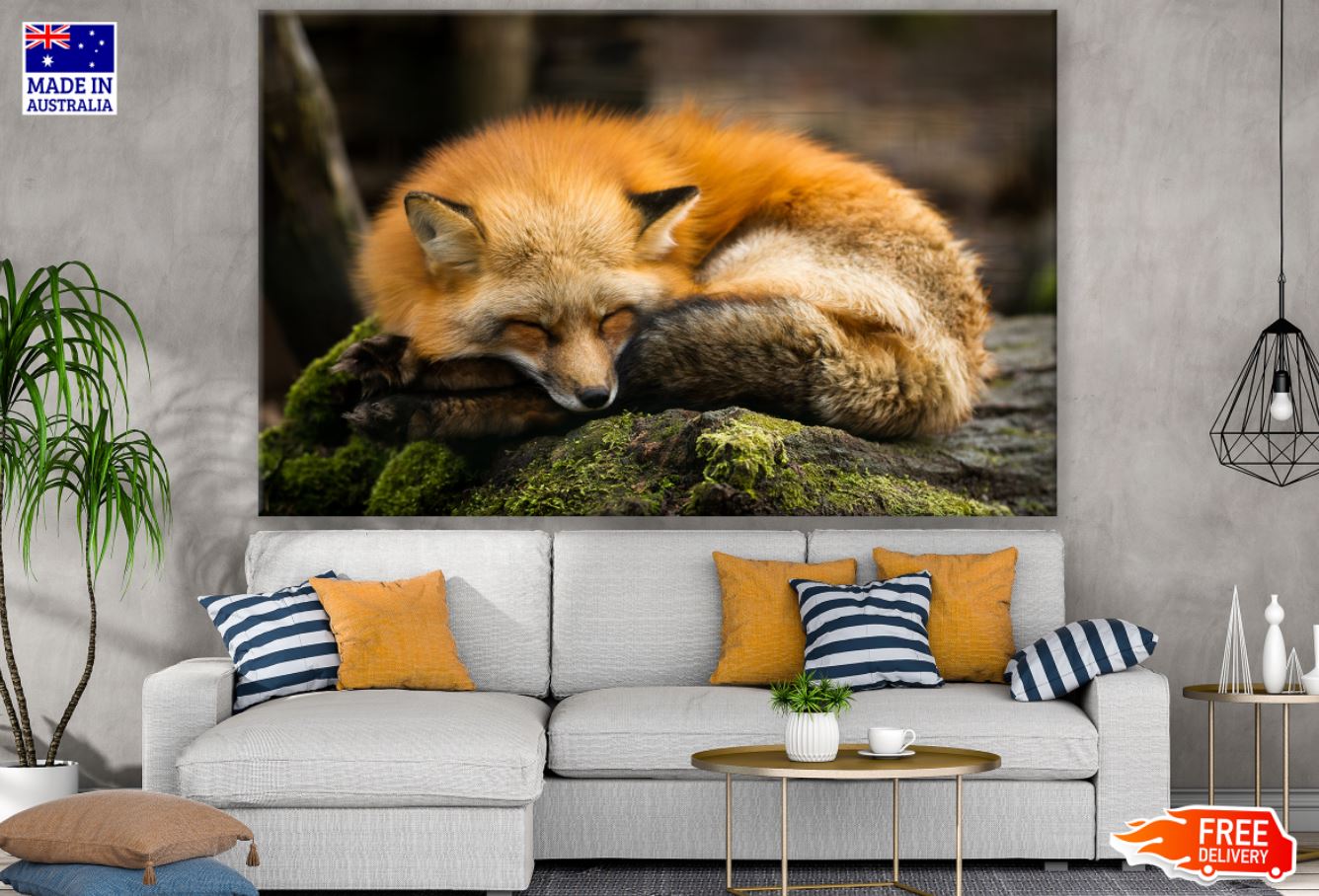 Sleeping Fox Closeup Photograph Print 100% Australian Made