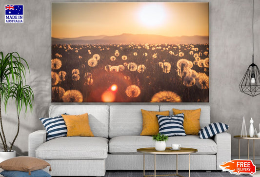 Dandelion Field Sunset Scenery Print 100% Australian Made