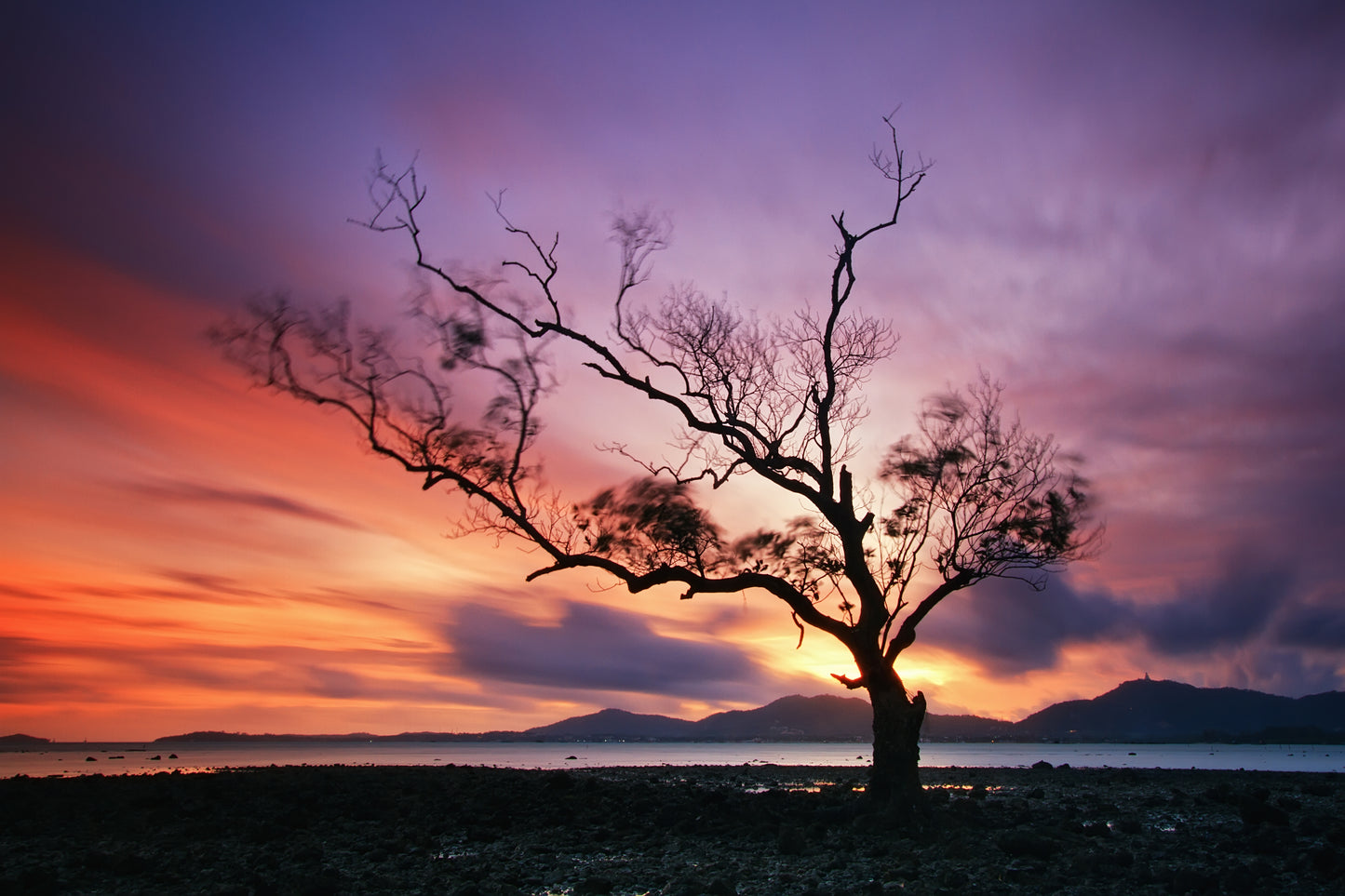 Tree Near Lake Stunning Sunset View Photograph Print 100% Australian Made