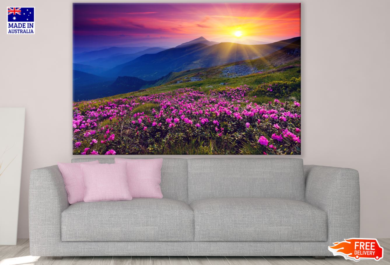 Sunset Flower Field Photograph Print 100% Australian Made