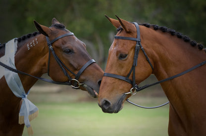 Horses Portrait Photograph Home Decor Premium Quality Poster Print Choose Your Sizes