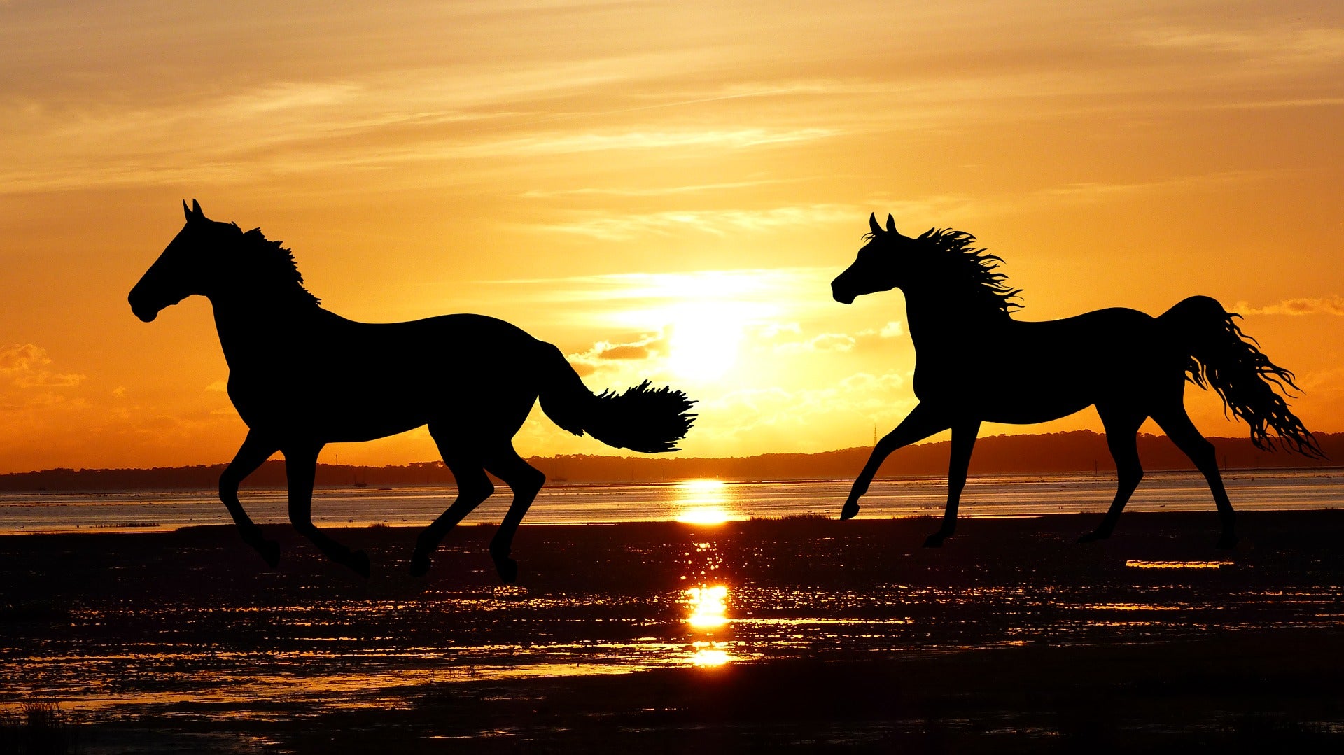 Horses Running on Beach Sunset Home Decor Premium Quality Poster Print Choose Your Sizes