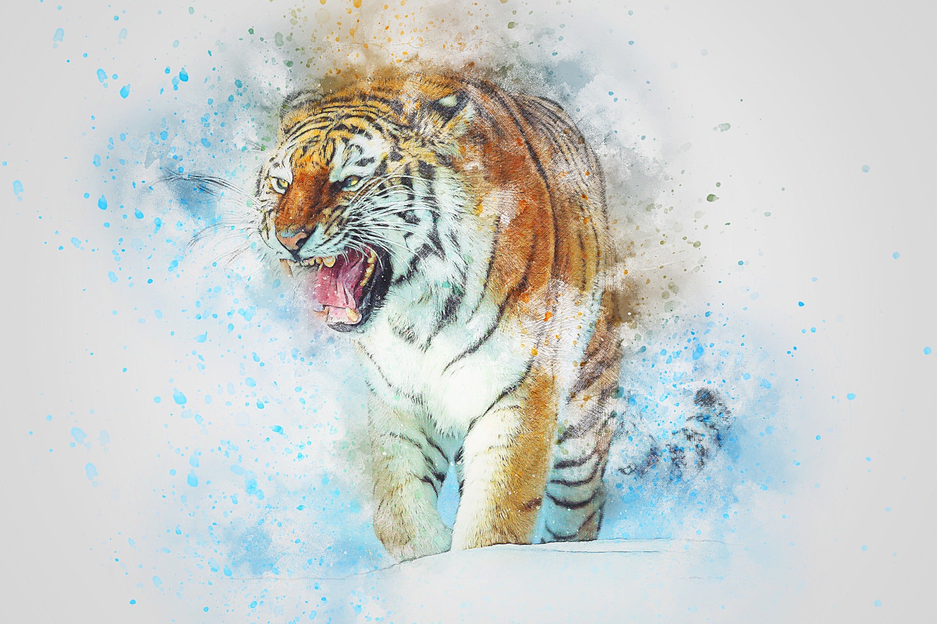 Tiger Painting Print 100% Australian Made