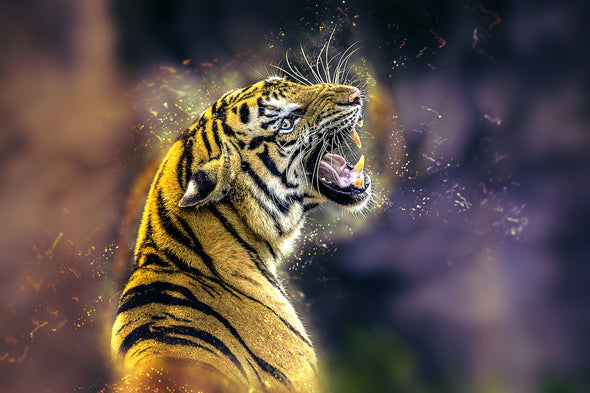 Tiger Roaring Painting Print 100% Australian Made
