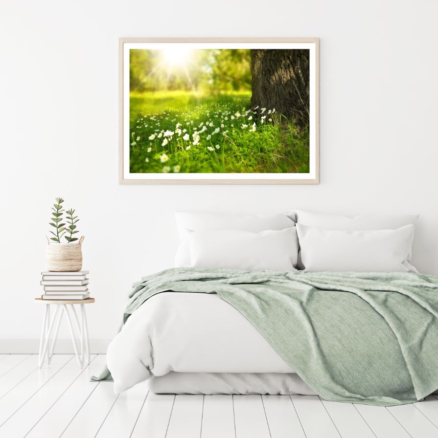 Small White Flowers Photograph Home Decor Premium Quality Poster Print Choose Your Sizes
