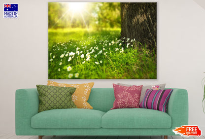 Small White Flowers Photograph Print 100% Australian Made