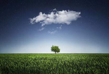 Tree on Grass Field & Sky View Scenery Photograph Print 100% Australian Made