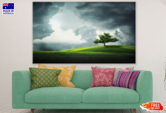 Tree on Meadow & Sky Scenery View Photograph Print 100% Australian Made