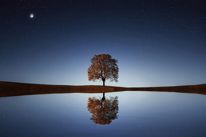 Alone Tree & Night Sky Print 100% Australian Made